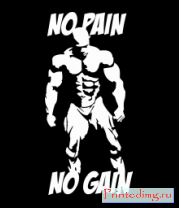 Толстовка No pain no gain