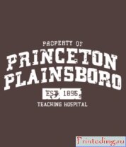 Футболка Princeton Plainsboro