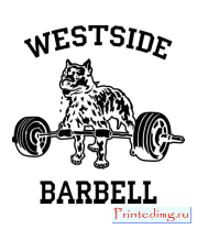 Толстовка Westside barbell