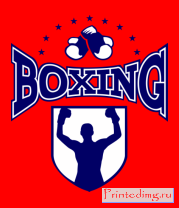 Толстовка Boxing (бокс)