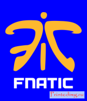 Толстовка Fnatic Team