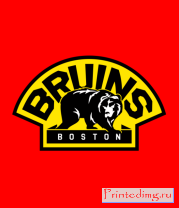 Толстовка HC Boston Bruins Label