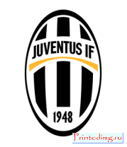 Толстовка FC Juventus Emblem