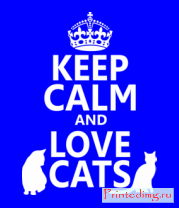 Толстовка без капюшона Keep calm and love cats.