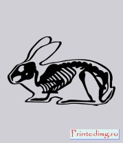 Толстовка без капюшона Рентген зайца