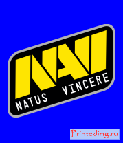 Толстовка без капюшона NAVI Natus vincere Dota 2 team logo