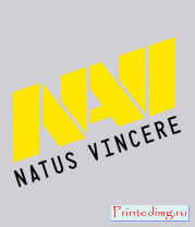 Толстовка без капюшона NAVI Natus Vincere Team