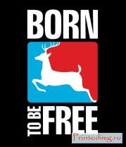Толстовка Born to be free