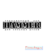 Толстовка Тренажёрный зал Hammer (1)