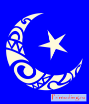 Толстовка Исламский символ (свет)
