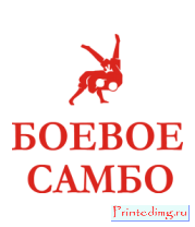 Толстовка Боевое самбо России 