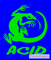Толстовка Acid iguana