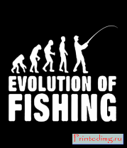 Толстовка без капюшона Эволюция рыбалки