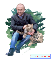 Толстовка без капюшона Президент и леопард
