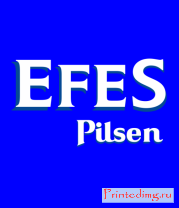 Толстовка Efes Pilsen