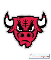Толстовка Chicago Bulls (голова)