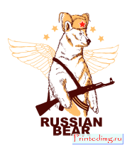 Толстовка Russian Bear
