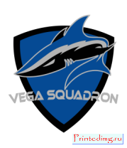 Толстовка без капюшона Vega Squadron