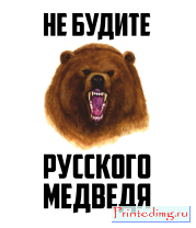 Толстовка без капюшона Не будите русского медведя