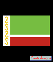 Толстовка Чечня 95 регион