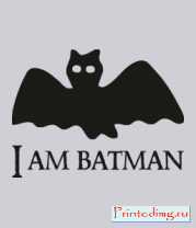 Толстовка I am Batman
