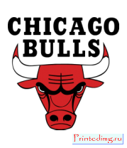 Толстовка Chicago Bulls
