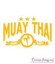 Футболка Muay Thay (Тайский бокс)