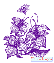 Борцовка мужская Цветы с бабочками